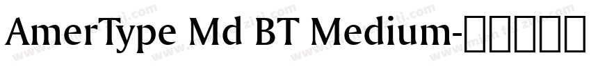 AmerType Md BT Medium字体转换